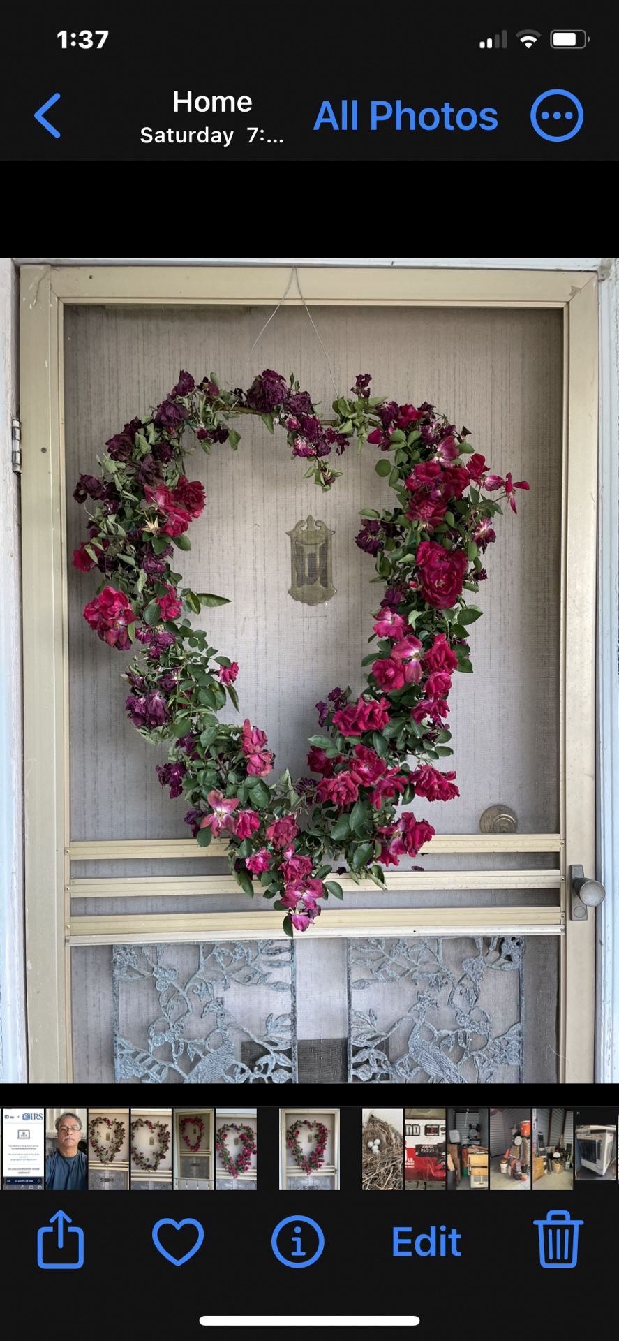 Wreaths for Any Occasions !!!wowzers