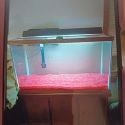 Rubbermaid 150 Gallon Stock Tank for Sale in Ronkonkoma, NY - OfferUp