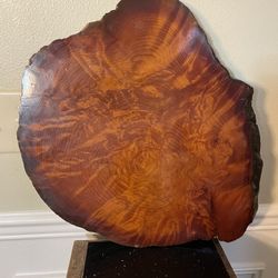 Live Edge Wood Slab 19”x16” ( Just Top , Not Table )