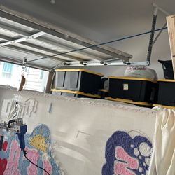 Tufting Rugs