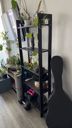 Book shelf $50