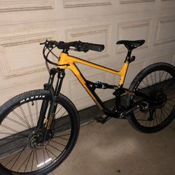 Polygon Sisku D6 Special Edition 