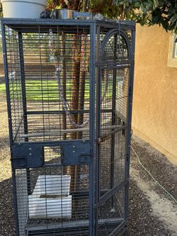 Parrot Cage