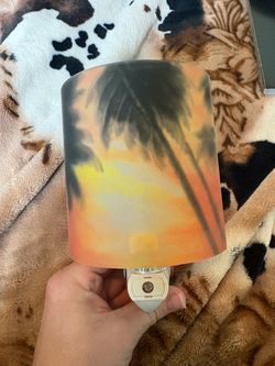 Florida Sunset Nights reverse hand painted night light.