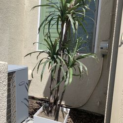 7ft Artificial Decorative Trees Indoor/Outdoor (2)