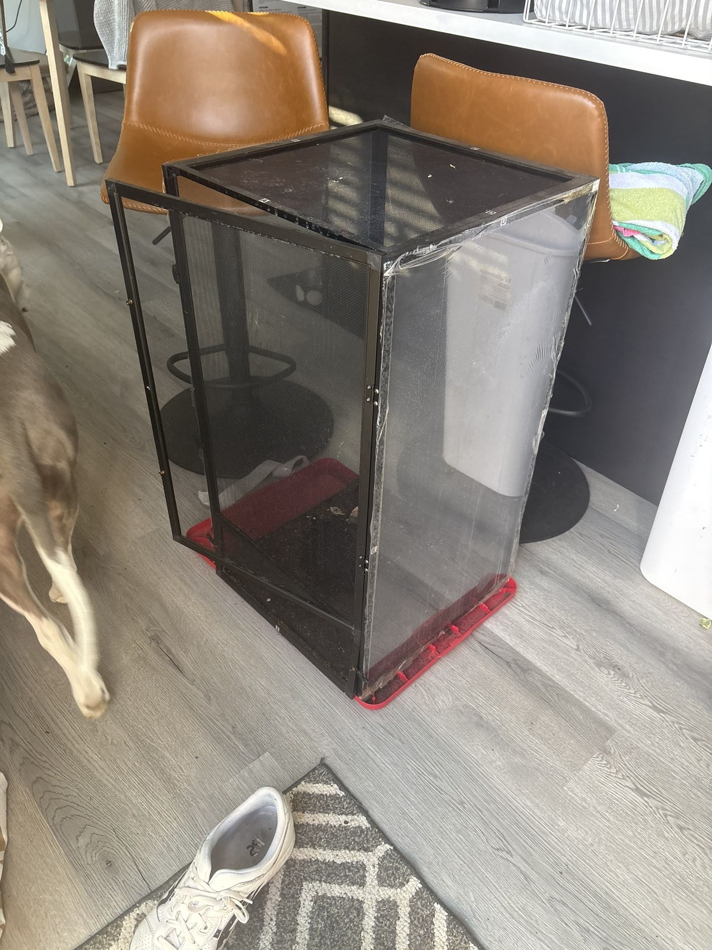 Chameleon Cage