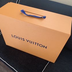 Louis Vuitton Bag