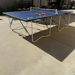 Ping Pong Table