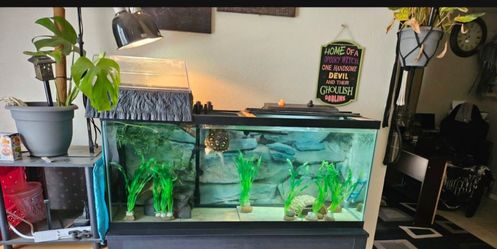 55 gallon Aquarium with extras