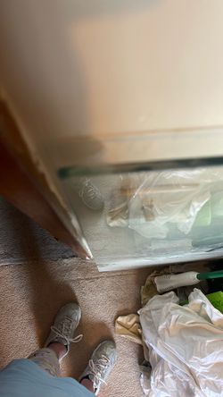 Clear glass panel