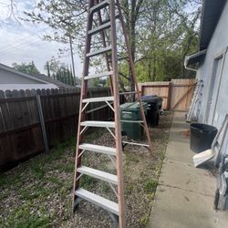 10 Foot Werner Ladder 