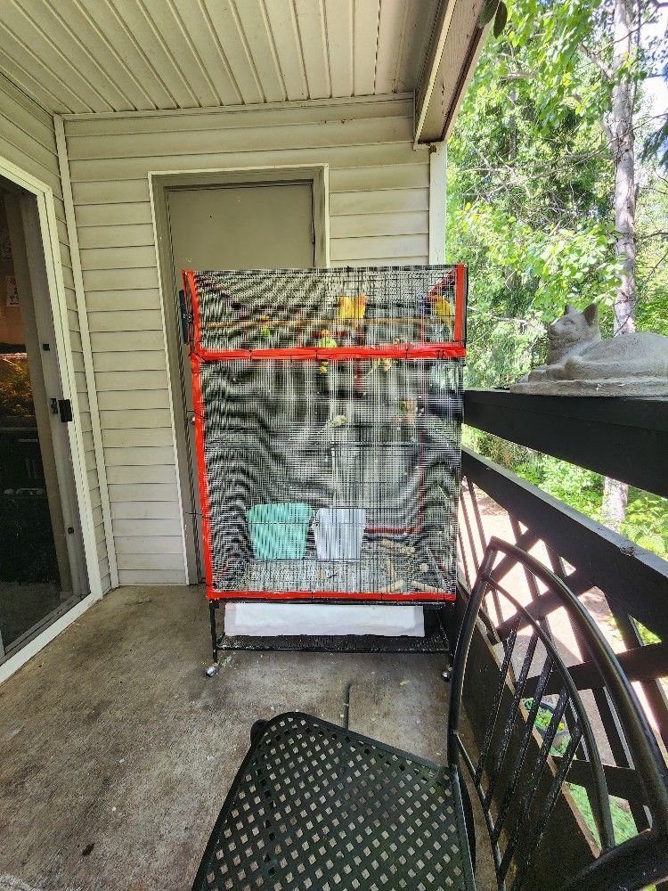 Bird Cage