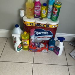 Household Cleaning Supplies 