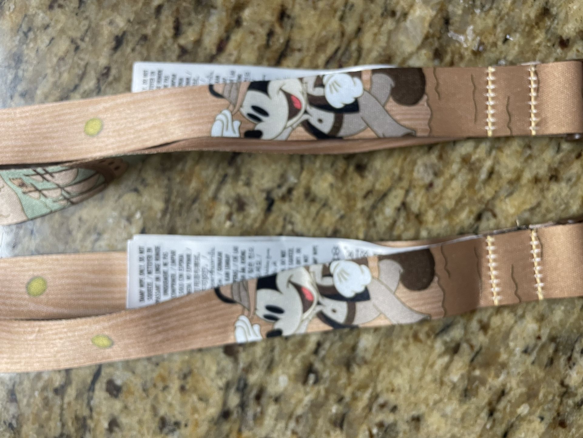 Disney Lanyards New