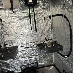 Grow room Lights and everything Two of them