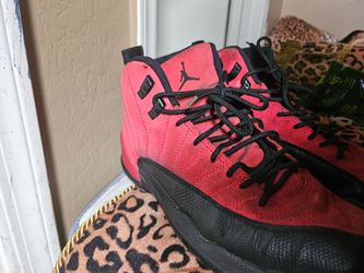 Jordan retro 12