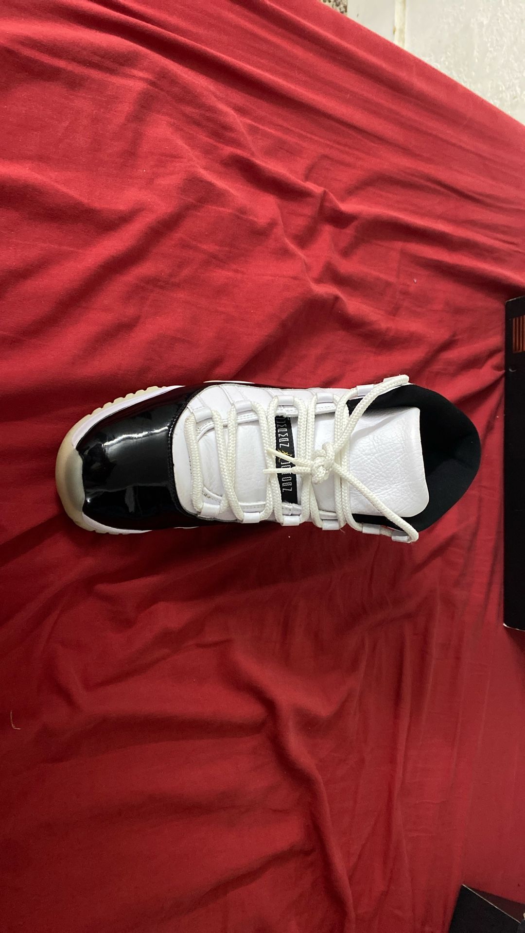 Jordan 11 Gratitudes