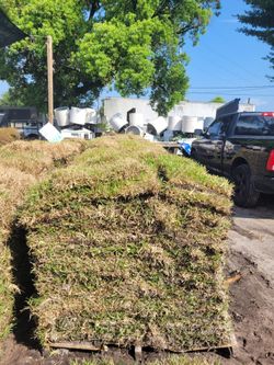 Discounted Floratam St Augustine Sod