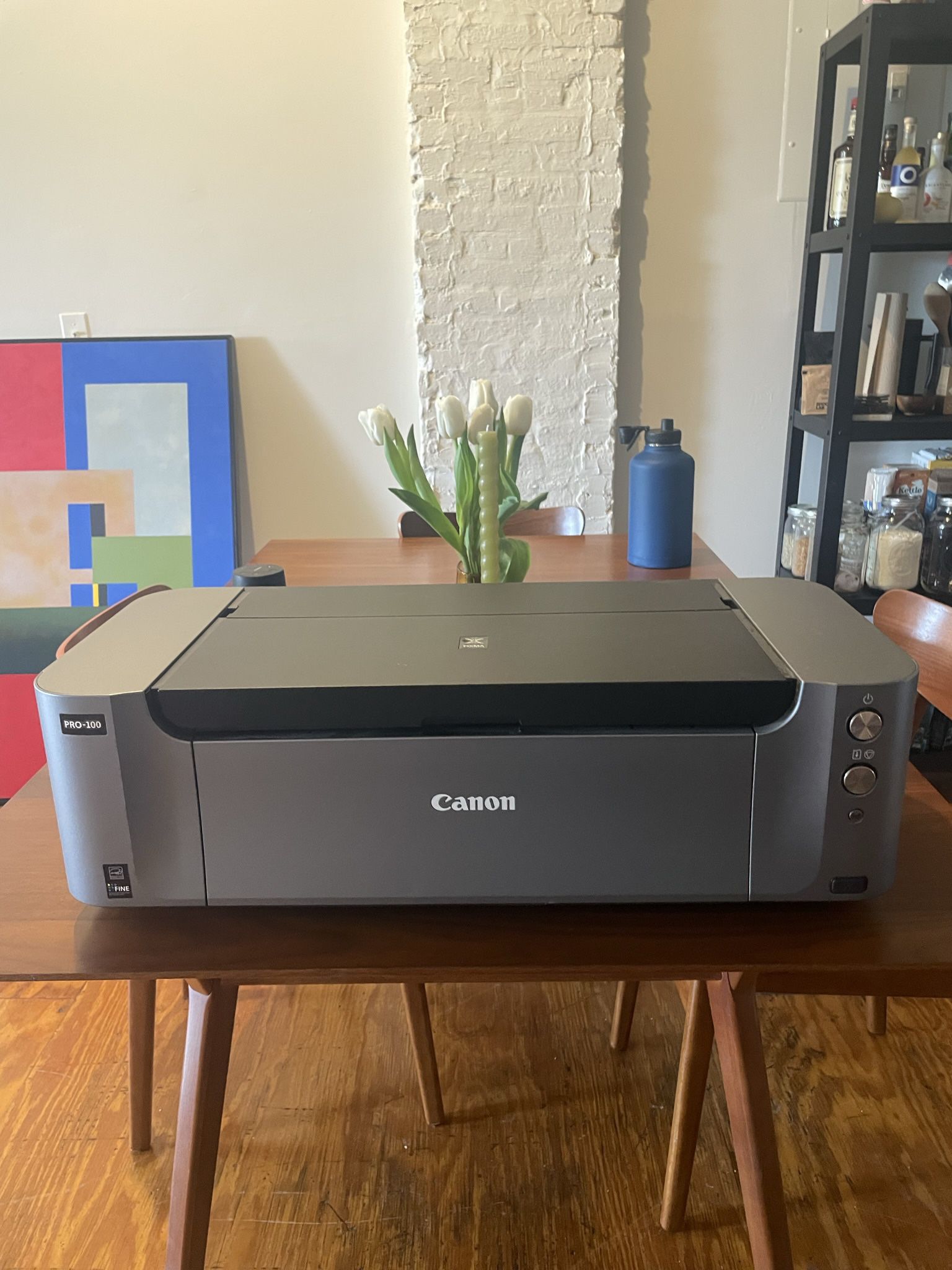 Canon Pixma PRO-100 Wireless Professional Inkjet Printer
