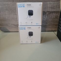 Blink Mini 