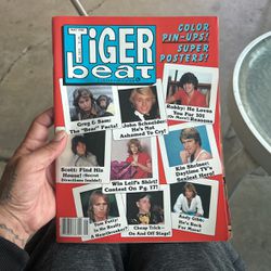 May 1980 tiger beat color pens up super posters