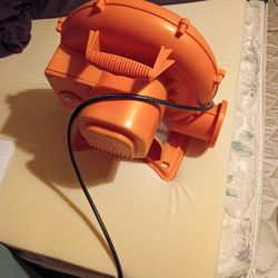 Assorted girls womens