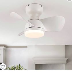 Brand New Ceiling Fan
