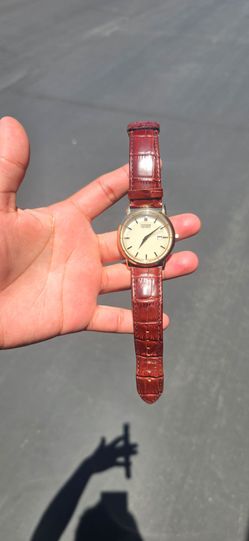 Citizen ecodrive watch