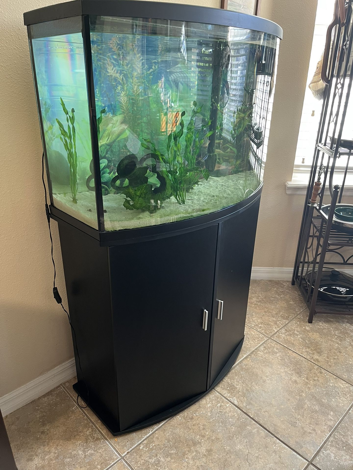 Aquarium For Sale