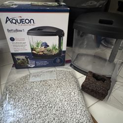1 Gallon acrylic starter Betta Fish tank