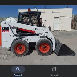 Bobcat Daily 