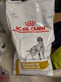 Royal Canin Dog Food