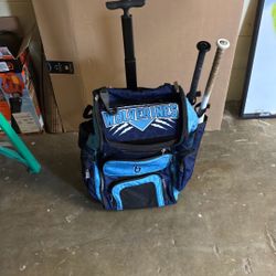 Baseball bag carry Luggage Sport Bag