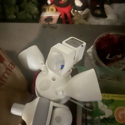 Floodlight camera and light bulb camera