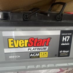 EverStart Platinum AGM Automotive Battery Group Size H7 / LN4 / 94R 12 Volt Minimum 800 CCA
