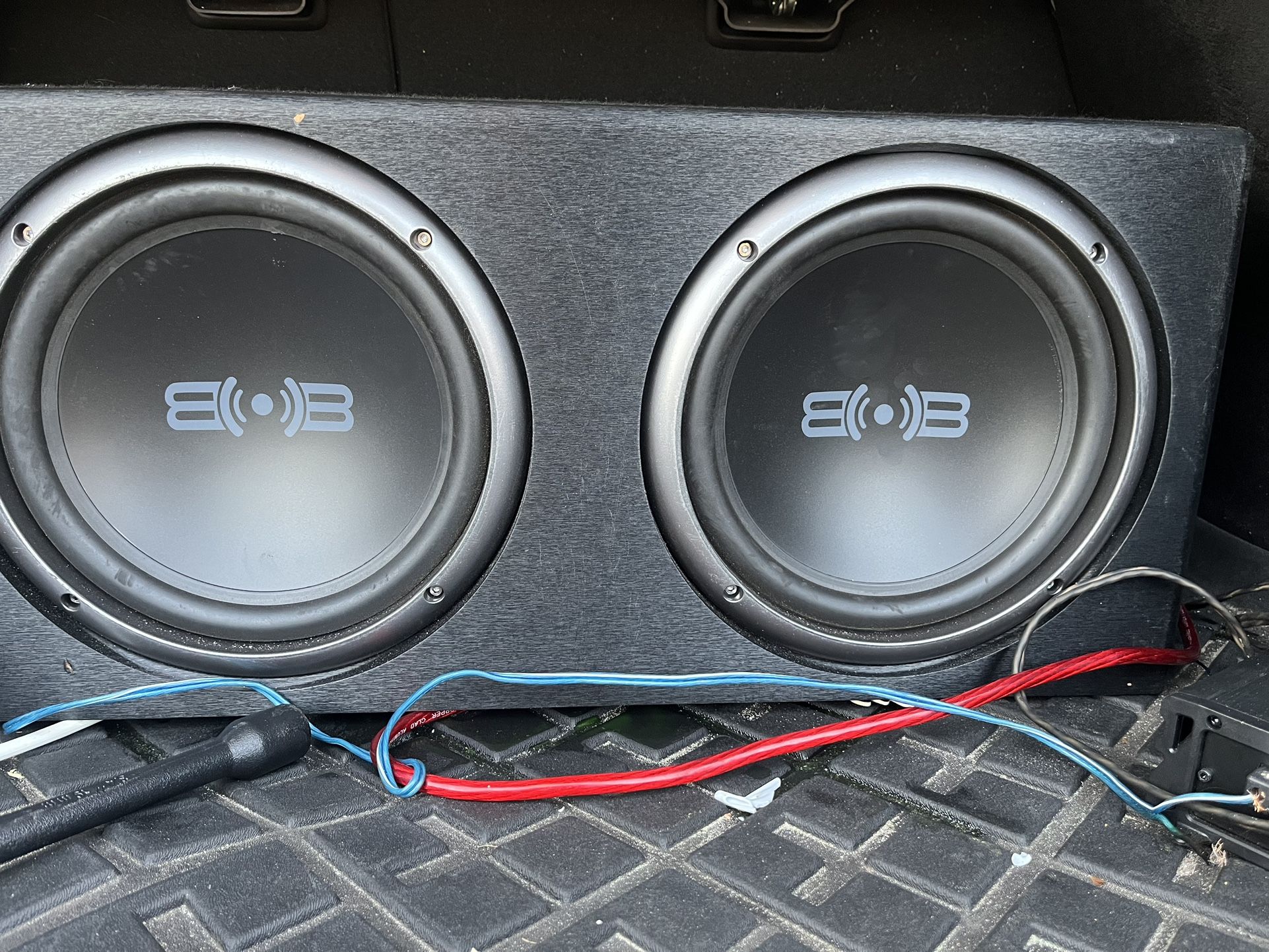 Two 10 Inch Belva Subwoofers