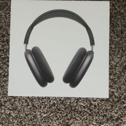 AirPod Pro Maxes