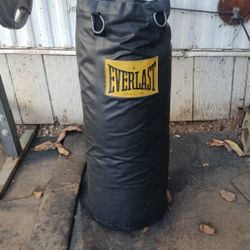 Boxing Punching Bag 