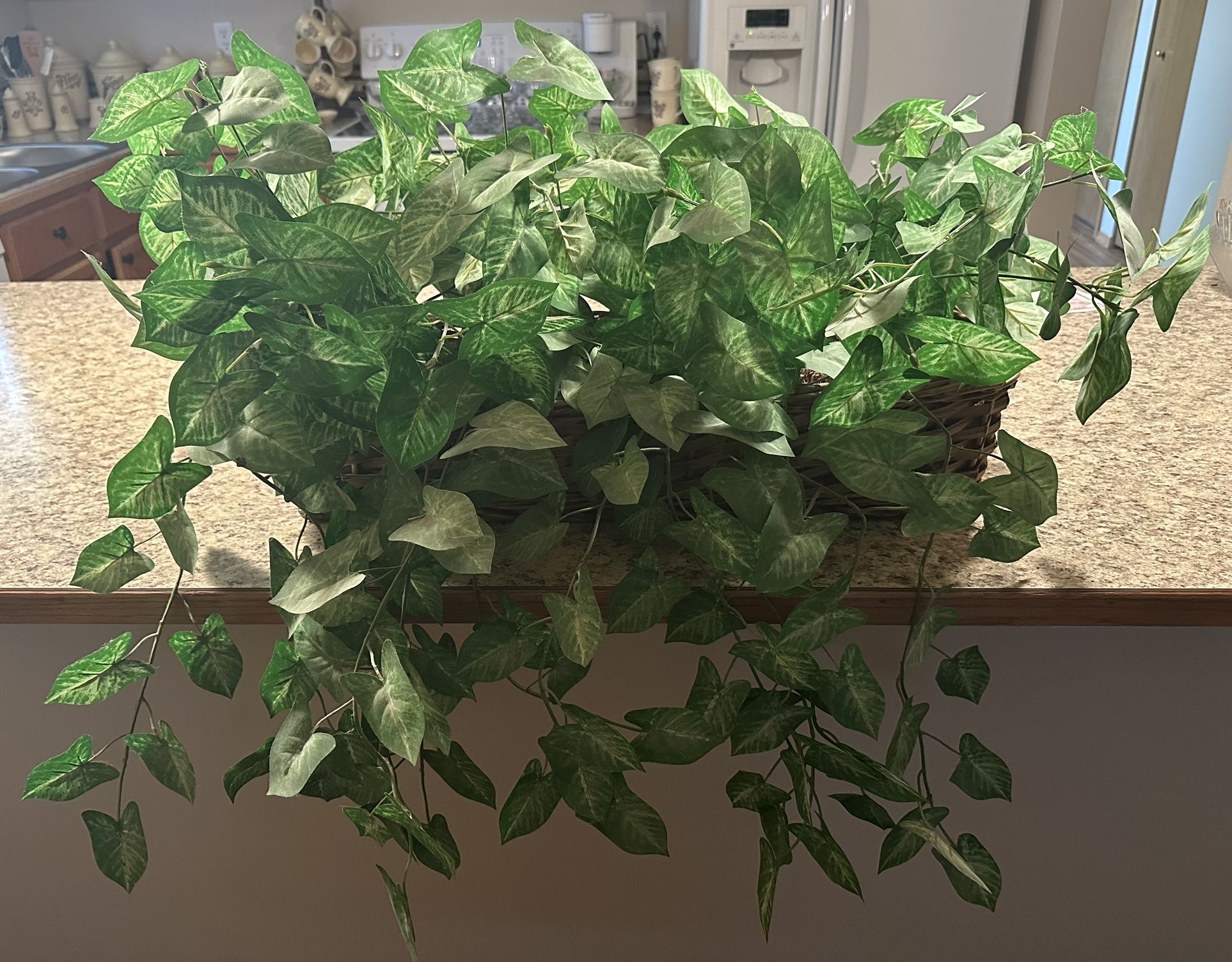 🌿🍃Pair of fake plants in baskets. BOTH FOR $40 or $25 EACH