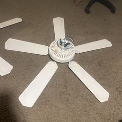 Ceiling Fans