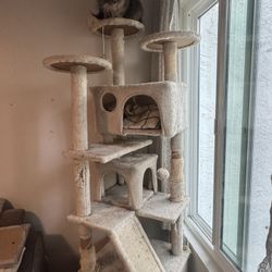 Cat Tree 