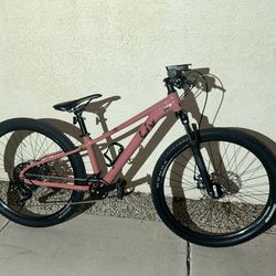 Liv tempt 4 mountain bike