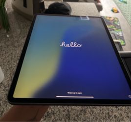 iPad Pro A229 256G