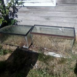 Fishtanks 
