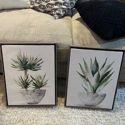 Plant Paintings - Pair