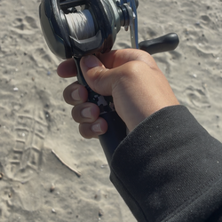 Caurdo m 200 phenix maxim swim bait rod