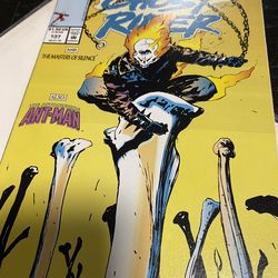 Ghost rider & wolverine 137