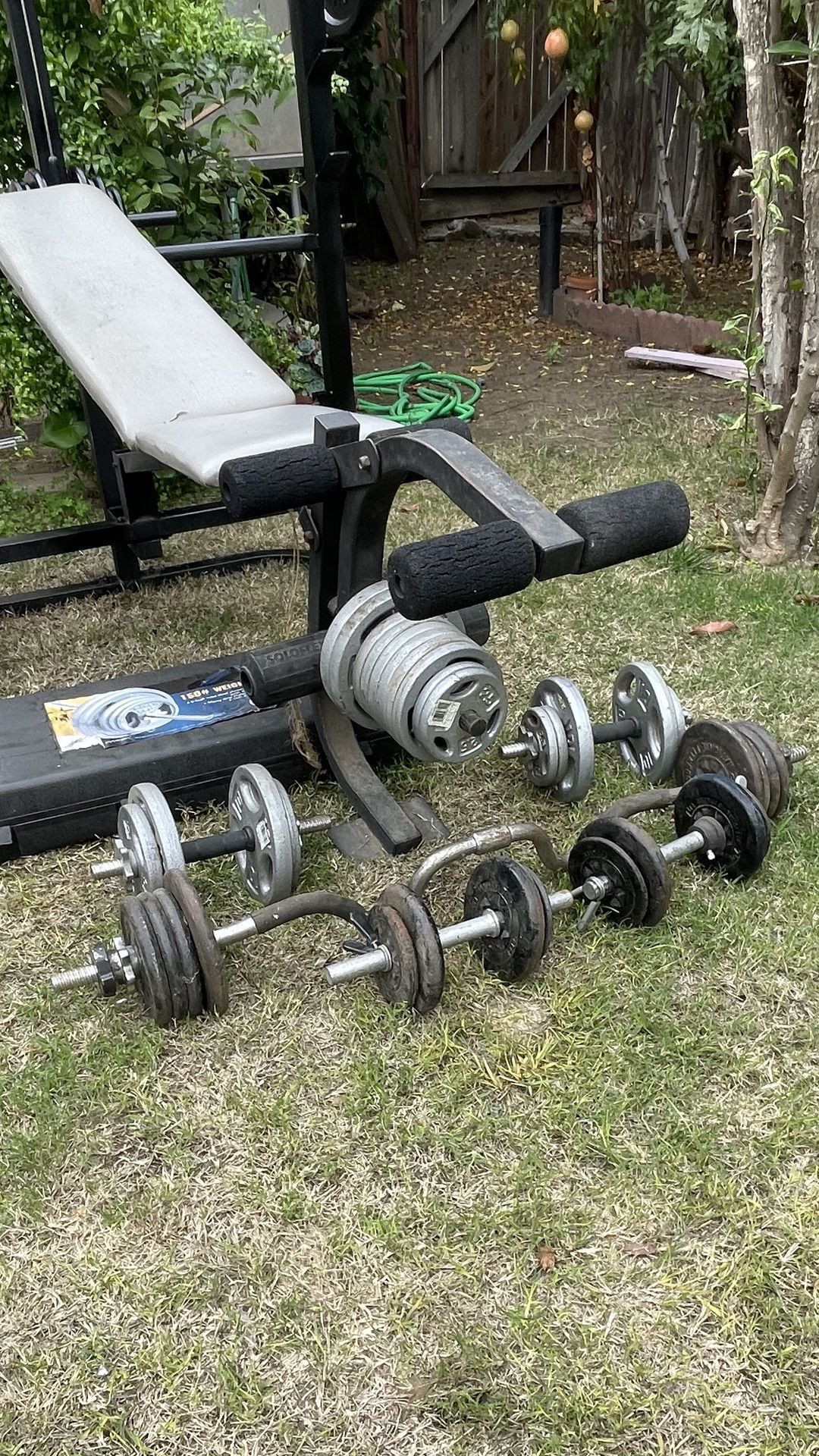 Weights Set - Weight Lifting - Body Building