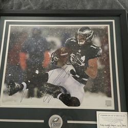 16x20 Autographed Riley Cooper Picture
