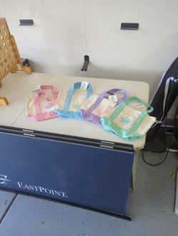 Trader Joe's Mini Canvas Tote